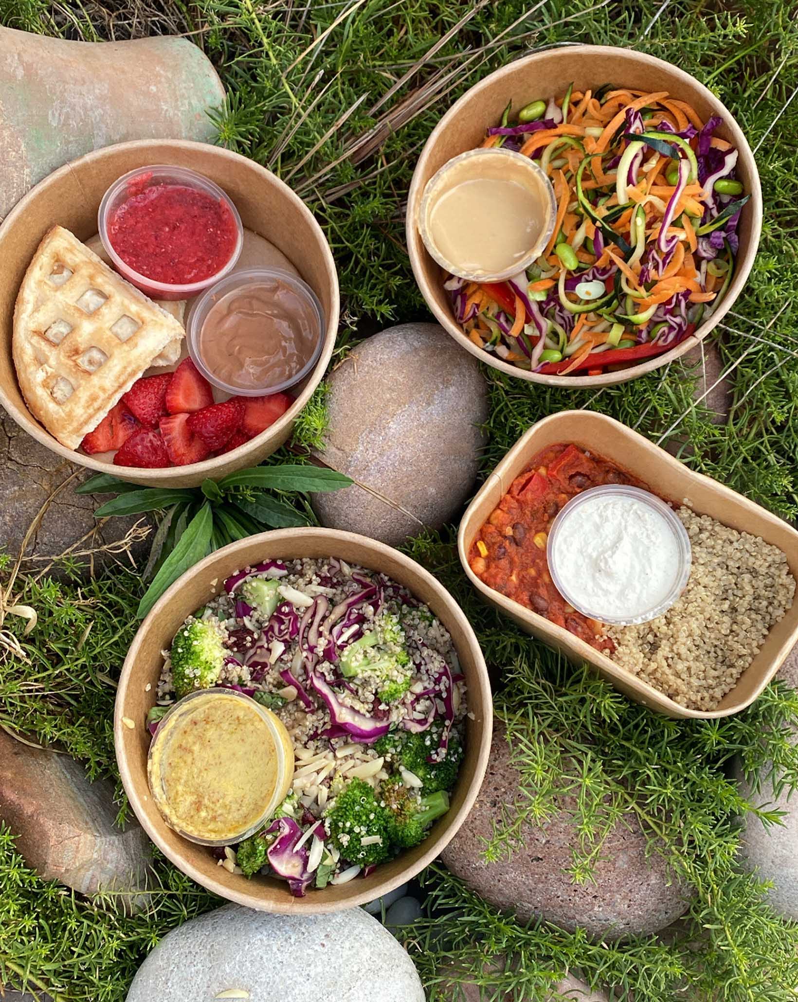 The Gut-Loving Power of Plant-Based Protein Meals